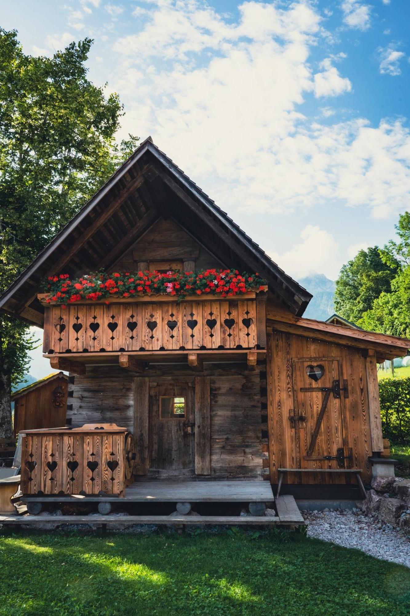 Singerskogel - Ferienhof Und Jausnstub'N Spital Am Pyhrn Kültér fotó
