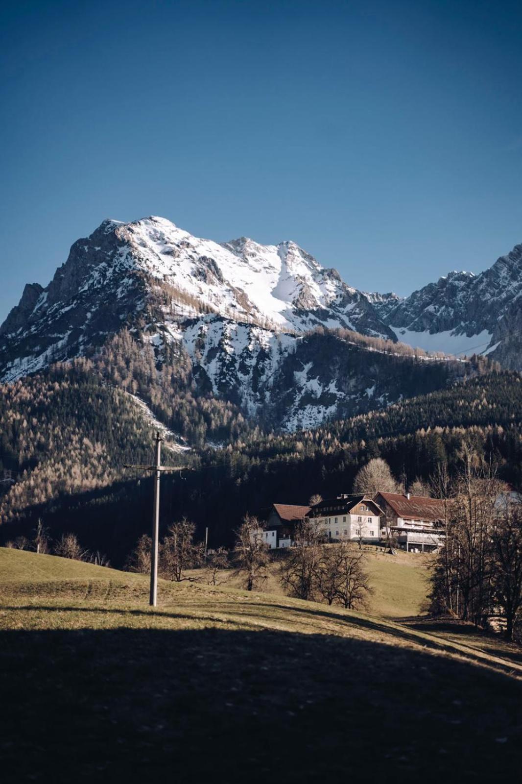 Singerskogel - Ferienhof Und Jausnstub'N Spital Am Pyhrn Kültér fotó