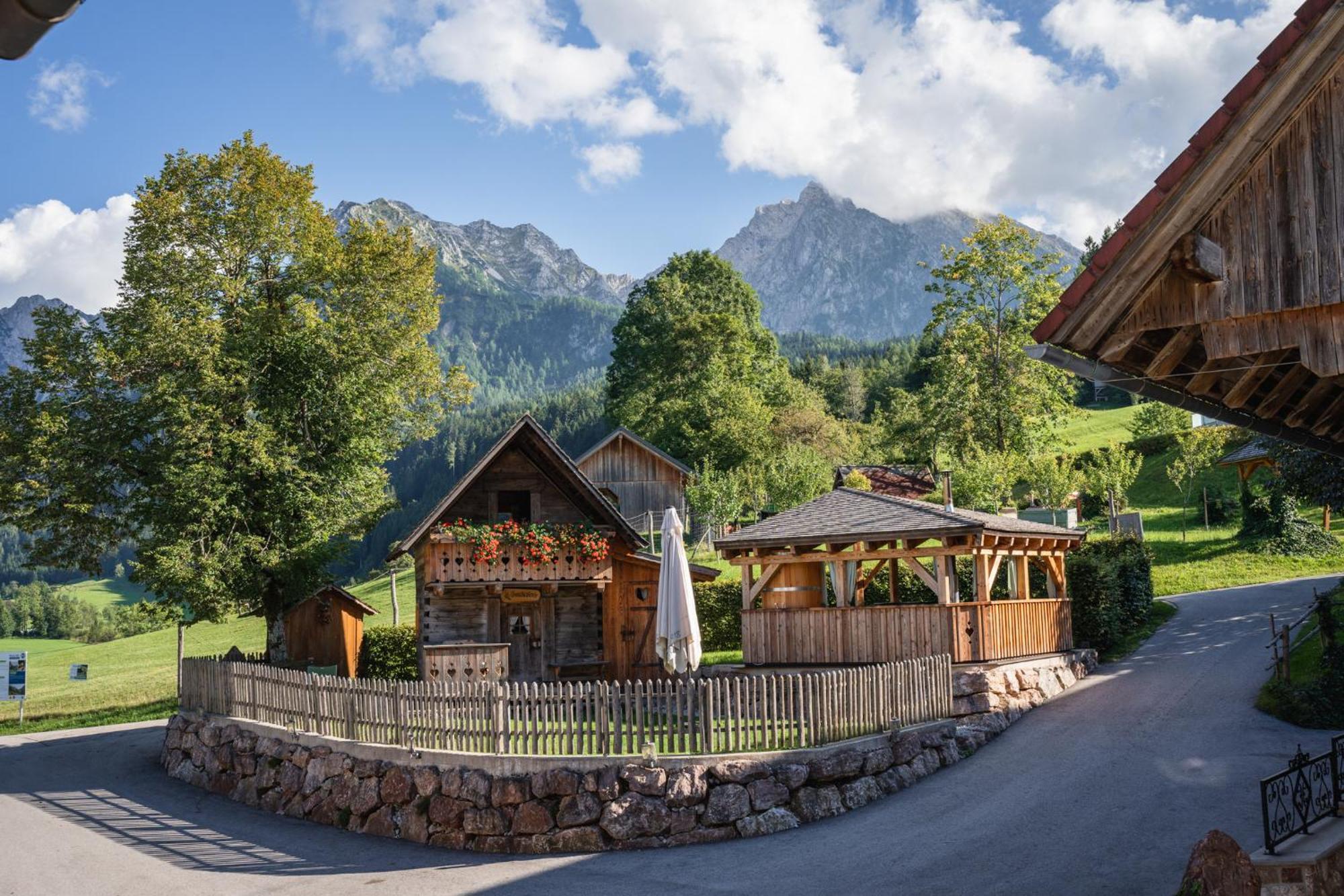 Singerskogel - Ferienhof Und Jausnstub'N Spital Am Pyhrn Kültér fotó
