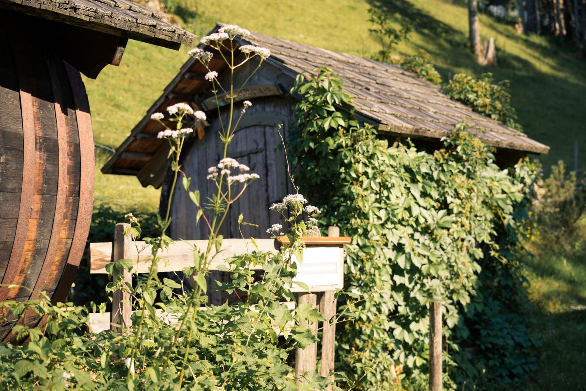 Singerskogel - Ferienhof Und Jausnstub'N Spital Am Pyhrn Kültér fotó
