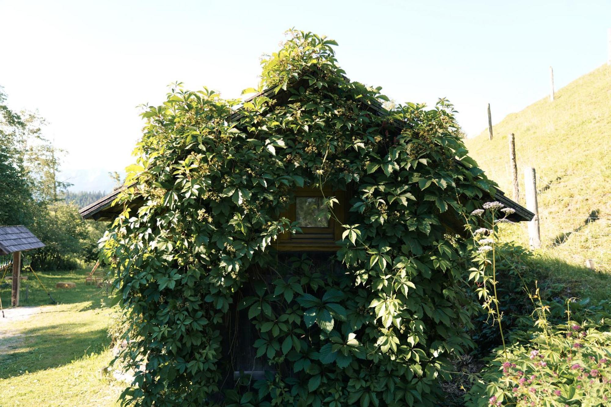 Singerskogel - Ferienhof Und Jausnstub'N Spital Am Pyhrn Kültér fotó