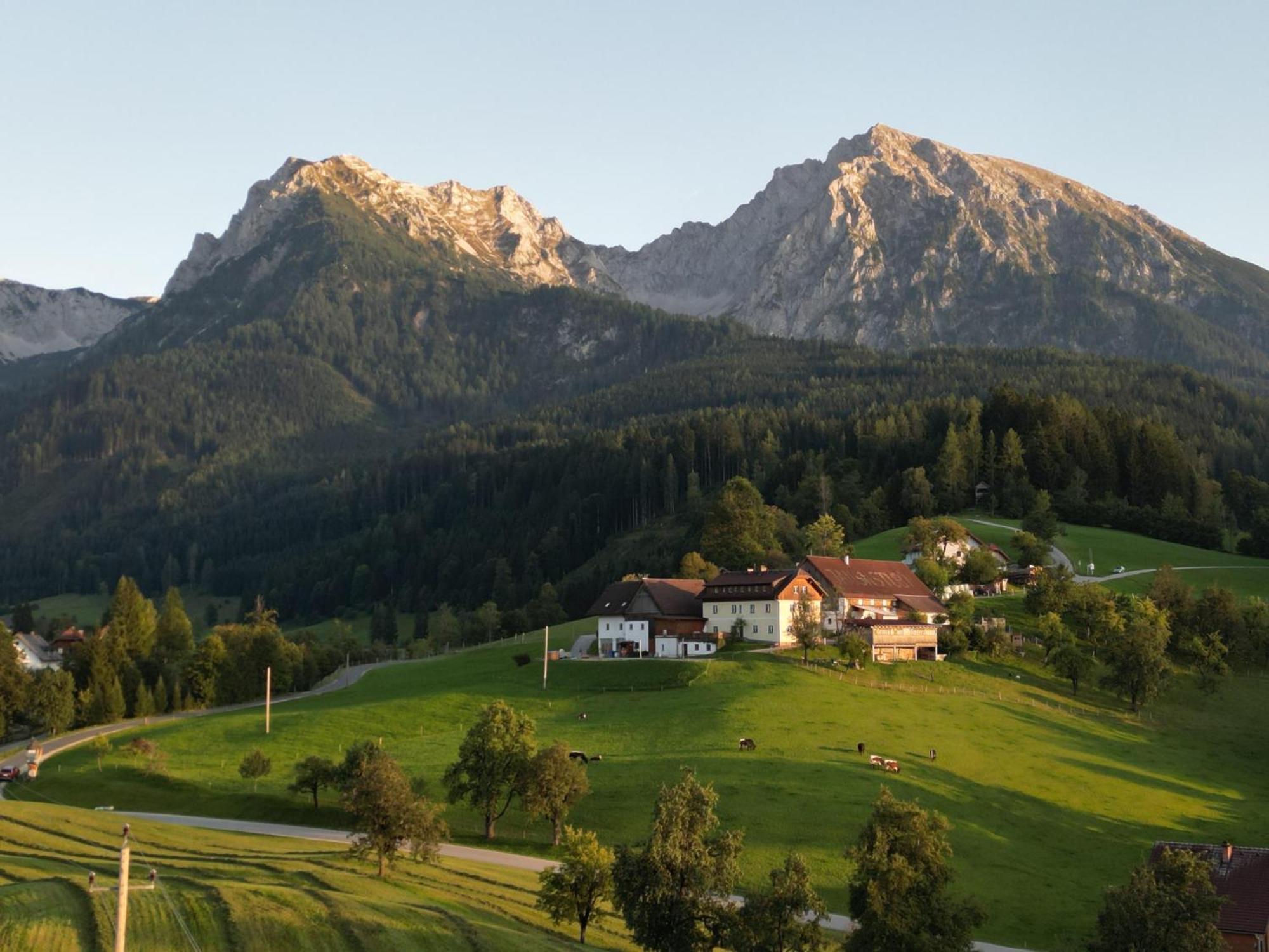 Singerskogel - Ferienhof Und Jausnstub'N Spital Am Pyhrn Kültér fotó