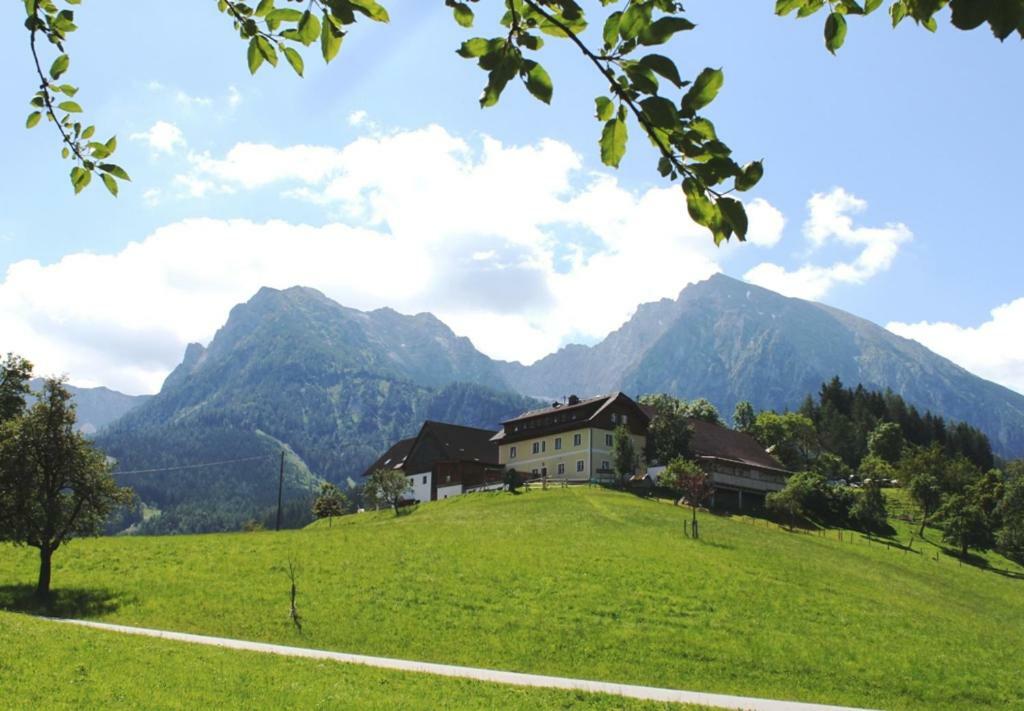 Singerskogel - Ferienhof Und Jausnstub'N Spital Am Pyhrn Kültér fotó